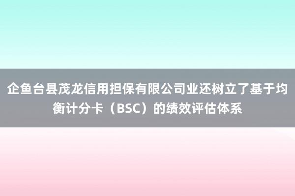 企鱼台县茂龙信用担保有限公司业还树立了基于均衡计分卡(BSC)的绩效评估体系